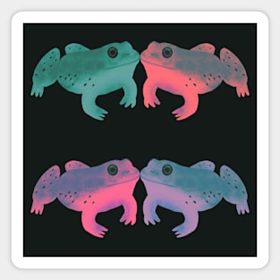 Bullfrog Buddies (Breeze Charcoal) Magnet